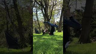 Arm balance forearm stand yoga asana healthy yoga fitness [upl. by Auvil]