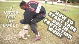 How To Start Your Dog In Protection Training [upl. by Llertnom]