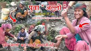 अल्लो quot पुवा quot को धागो बाट लाखौं आम्दानी  Yasari Tayar Banainxa  Paisako Khani  Sunil Vlogs2 [upl. by Giacobo]