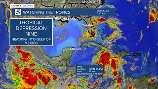 Hurricane Milton Destroys Everything in its Path [upl. by Albie]