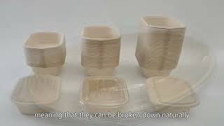 Bagasse food containerbiodegradable containerbagasse plateChina makerHigh Grade [upl. by Chabot]