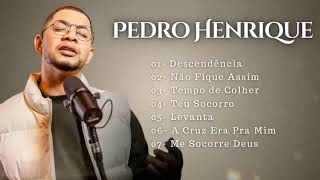 Coletânea Gospel com as Melhores de Pedro Henrique Coletânea 9 [upl. by Ecidna49]