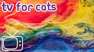 Cat TV 8 Hours of stimulating abstract footage to entertain your cat [upl. by Anetsirk]