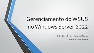 Gerenciamento do WSUS no Windows Server 2022 [upl. by Nrevel]