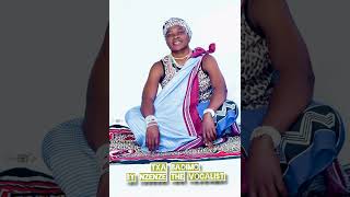 nzenze the Vocalist new hit tsa badimo [upl. by Tterrag627]