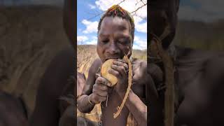 MEET THE HADZABE TRIBESMEN WHO SURVIVES ON EATING ROOTS 😳hadzabetribe travel food africa [upl. by Terrell]