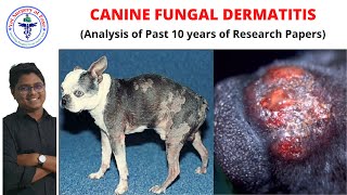 Fungal Dermatitis  Canine Diseases  Lecture 03 [upl. by Harpole]