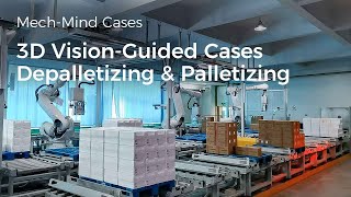 3D VisionGuided Depalletizing amp Palletizing in Logistics with MechMind [upl. by Ninazan]