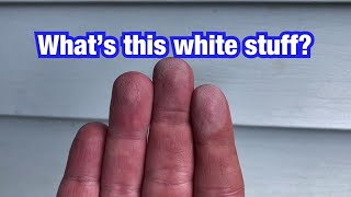 How To Identify Oxidation On Vinyl Siding Before House Soft Washing [upl. by Sharleen]