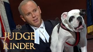 Kevin The Dog Steals The Show  Judge Rinder [upl. by Tarkany235]