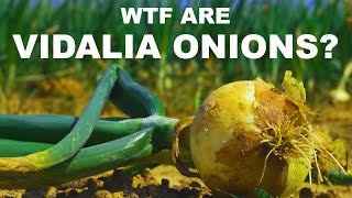 Why are sweet onions sweet Can you really eat Vidalia onions like apples [upl. by Willard]