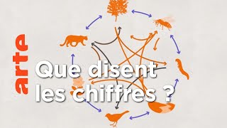 Mesurer la perte de la biodiversité  Data Science  ARTE [upl. by Hannahc]