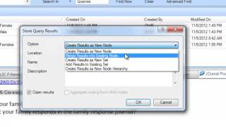 Nvivo 10 Coding Queries [upl. by Haley294]