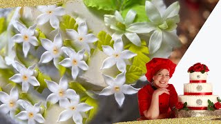 Easy Gumpaste Flowers Stephanotis [upl. by Hulburt]