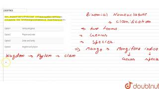 In hierarchical classification class is interpolated between [upl. by Nnyrat]