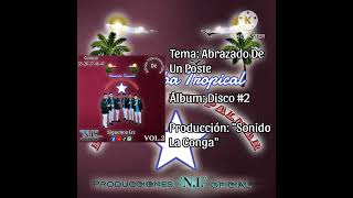 Abrazado De Un Poste  Marimba Tropical Estrella Del Palmar Disco 2 [upl. by Acsirp]