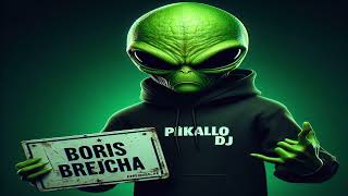 👽 PIKALLO DJ 👽 🤖 BORIS BREJCHA 🤖 HIGH MELODIC MINIMAL TECHNO [upl. by Triplett64]