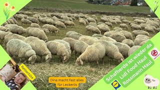 Schäfchen 🐑 Lidl amp Rossmann Haul 🛒 Rettertüte 🛍  Dina 🐾will Leckerchen  Februar 2024  Melanie 🌷 [upl. by Novat14]