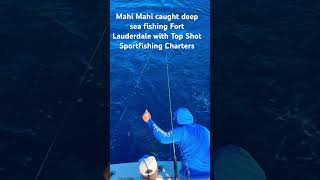 fish sportfish fishing fishingcharters deepseafishing sportfishingboat fishingtours outdoor [upl. by Winona]