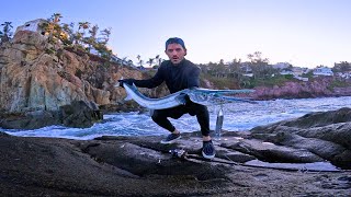 Monster needlefish longtom on popper [upl. by Annelg787]