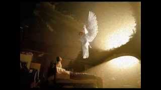 AMISTADES PELIGROSAS ANGELUS Video 2013 [upl. by Manouch566]