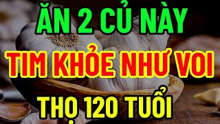 BÁC SĨ MÁCH TUỔI GIÀ ĂN CỦ NÀY ĐỐT CHÁY CHOLESTEROL MÁU LÀM SẠCH GAN THẬN [upl. by Buck434]