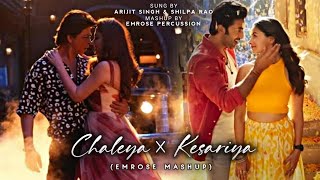 Chaleya X Kesariya Emrose Mashup  Emrose Percussion  Arijit Singh New Songs  Jawan [upl. by Elliot]