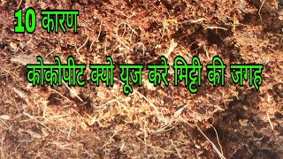 25010 reasons to use cocopeat in place of soil benefits uses of cocopeat Hindi Urdu [upl. by Kiefer]