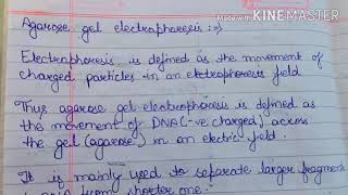 Agarose gel electrophoresis easy and effective [upl. by Turpin]