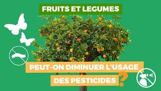 Fruits et légumes  peuton diminuer l’usage des pesticides [upl. by Atterehs259]