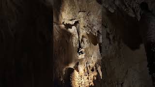 Carlsbad caverns vanlifetravelcarlsbad [upl. by Ardnazxela]