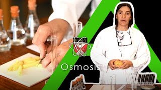 Osmosis  Biology Alevel Required Practical [upl. by Desta]