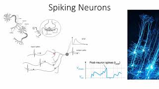 ICONS 2020 Keynote Presentation by Sander Bohte Computing with Spiking Neurons [upl. by Bohs]