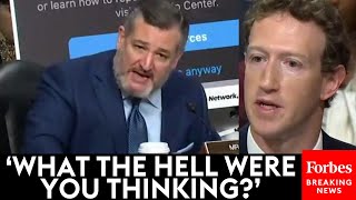 BREAKING NEWS Ted Cruz Unleashes On Mark Zuckerberg In Senate Judiciary Hearing On Social Media [upl. by Meil468]