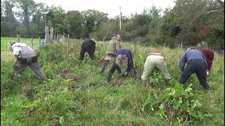 Potato Experiment Harvest  and seven years of our work group meitheal [upl. by Sielen]