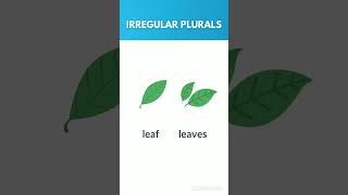 quotIrregular Plural Nouns Explained LearnEnglishquotIrregularPluralsEnglishGrammarLearnEnglish [upl. by Negeam]