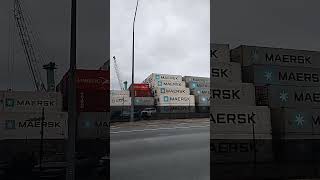 Container discharge from the ship in timaru new zealand 1st October 2024 [upl. by Notsruht]