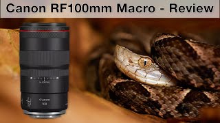 Canon RF 100mm f28 L IS Macro  Review from Costa Rica [upl. by Ahen775]