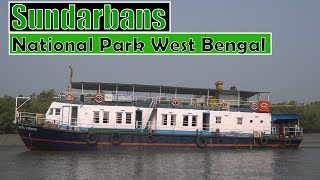 Sundarbans National Park West Bengal  All about journey on ship [upl. by Hills]