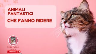 ANIMALI FANTASTICI CHE FANNO RIDERE I PIU BELLI DEL 2023 [upl. by Ivgnout]