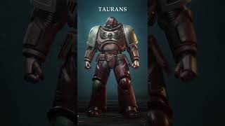 All Playable Astartes Chapter Armor in Warhammer 40K spacemarine2 gaming warhammer40k [upl. by Arukas]