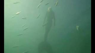 Mermaid filmed in Australia [upl. by Massimiliano892]