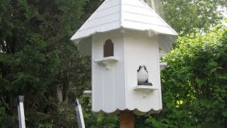 How to build a Dovecote  Part 2 [upl. by Berghoff]