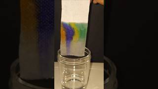 What Happens When You Master Chromatography in Just 1 Day chromatography ytshorts experiment [upl. by Hnah]