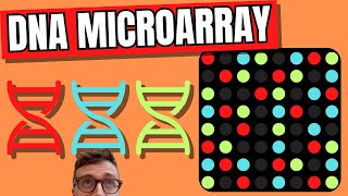 DNA Microarray Technique DNA Chip [upl. by Eimmij]