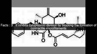 Cytochalasin B Top 7 Facts [upl. by Vaientina371]