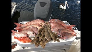 OFFSHORE BASS STRAIT SNAPPER AND FLATHEAD [upl. by Ynatterb967]