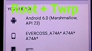 root easy evercroos [upl. by Sherar]