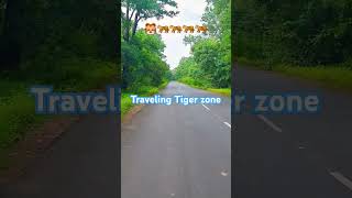 Bike ride Nallamala Tiger 🐅zone forest 🥰🥰 [upl. by Philbin]