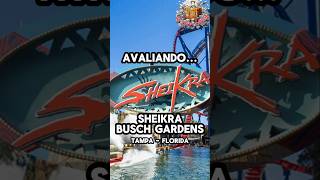 Sheikra  Avaliando orlando montanharussa shorts disney [upl. by Biamonte]